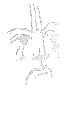 Animated sad face